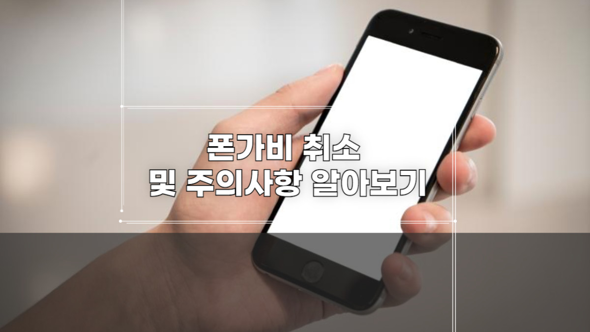 폰가비 취소 주의사항