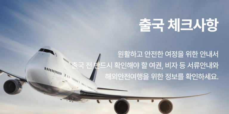 미성년자 출국 신분증 학생증